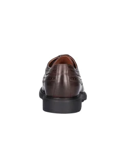 Scarpa stringata Nero Giardini da uomo marrone