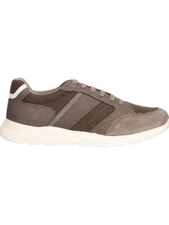 Sneaker Geox Damiano da uomo taupe