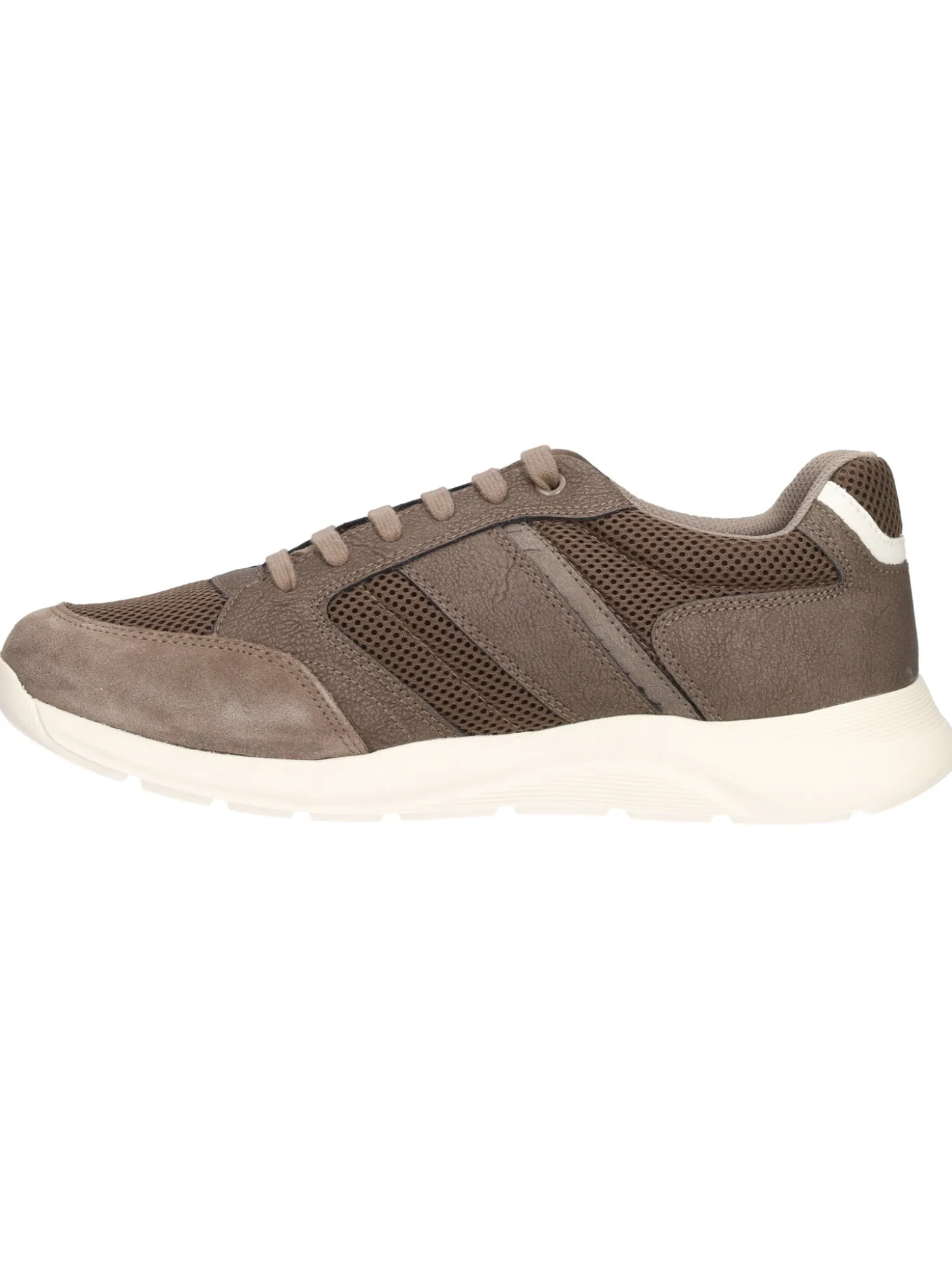 Sneaker Geox Damiano da uomo taupe